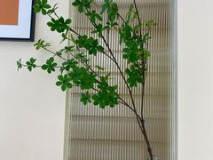 -万达广场(南宁青秀店)