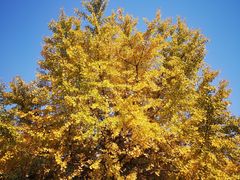 -苏州河梦清园环保主题公园