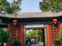 -大槐树寻根祭祖园