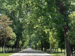 -汉长安城未央宫国家考古遗址公园