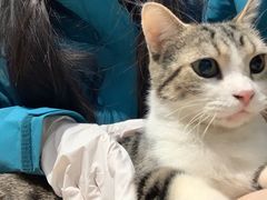 -李小姐の猫咖啡馆(五角场店)