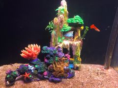 -常州海昌海洋探索馆