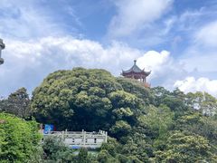 -梧桐山风景名胜区