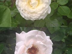 -迎泽公园