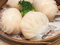 -港澳德兴火锅海鲜酒家(殷皇子店)