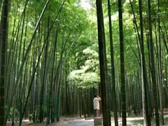 -宝岩生态观光园
