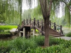 -北坞公园