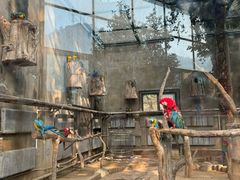 -大连森林动物园