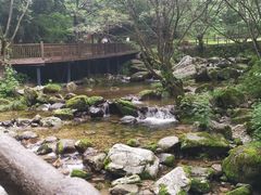 -牛背梁国家森林公园