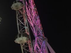 -墨尔本之星 观景摩天轮