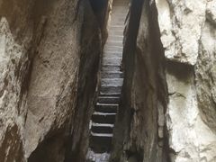 -鲁山国家森林公园