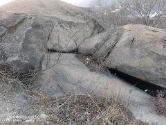 -白水寺森林公园