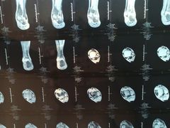 -上海市中医医院(芷江路院区)