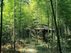-黄公望隐居地