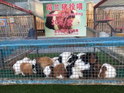 -萌宠亲子动物乐园(槐房万达店)