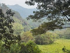-羚羊峡古栈道森林公园