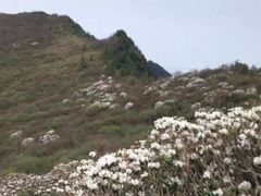 -终南山国家森林公园