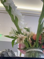 -U3美甲