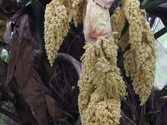 -敬亭山风景名胜区