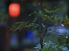 -宁波五龙潭景区