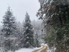 -武陵山森林公园