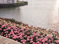-浙江科技大学(小和山校区)
