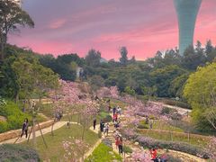 -狐尾山公园