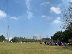 -万绿园