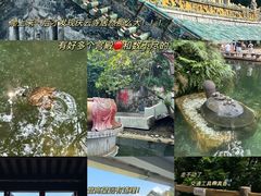 -鼎湖山风景区