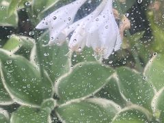 -苏州河梦清园环保主题公园