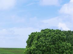 -三生有幸婚礼策划·求婚策划·婚纱照·领证跟拍