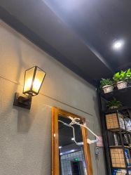 -藤野造型