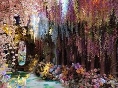 -正佳雨林生态植物园
