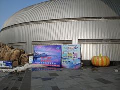 -烟台海昌鲸鲨海洋公园