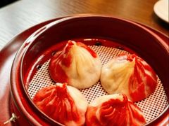-随堂里
