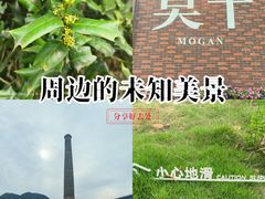 -莫干山风景区