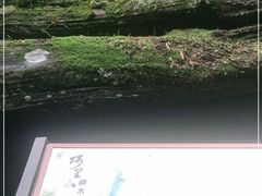 -阿里山神木遗迹