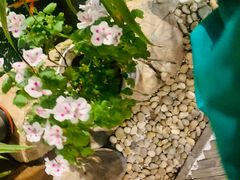-聚缘堂·海鲜私房菜(松岭路店)