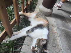 -西园寺素食(西园弄戒幢律寺店)