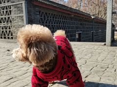 -T80科技文化国际社区-停车场