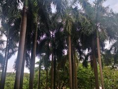 -广州雕塑公园