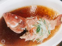 -外滩1288花园丽舍