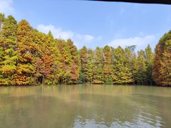 -上海海湾国家森林公园