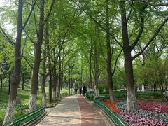 -宣武艺园