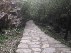 -北京上方山国家森林公园