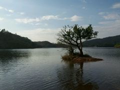 -Caten佳田(港惠店)