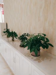 -诗媛嘉美健康管理中心(金桥店)