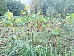 -白塘生态植物园