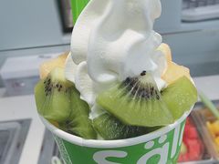 -Salud撒露欧洲冻酸奶(798艺术区店)