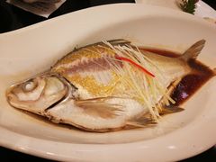 清蒸武昌鱼-亢龙太子酒轩(东湖店)